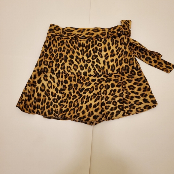 Skirt/shorts- Zara - Picture 2 of 8